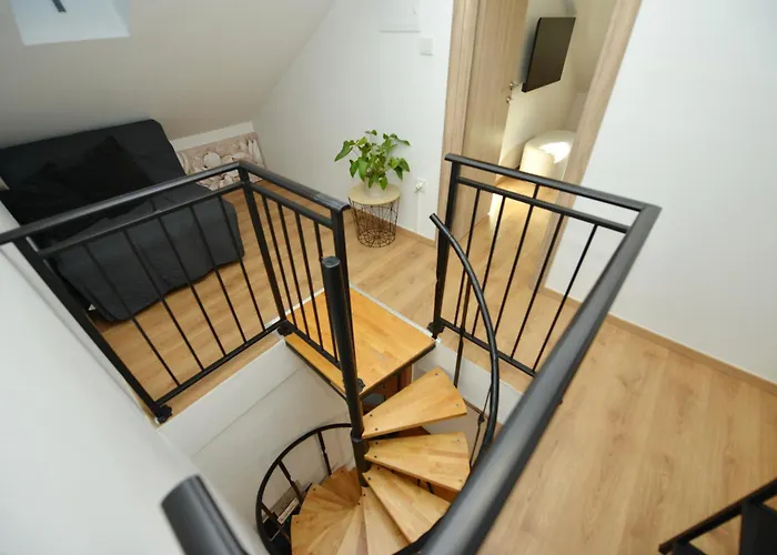 Sanja Kolovare * Zadar