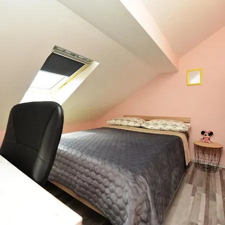 Sanja Kolovare Zadar