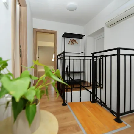 Sanja Kolovare Zadar