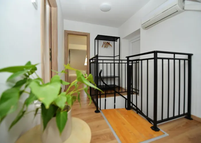 Sanja Kolovare Zadar